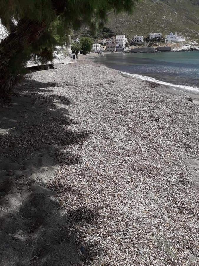 Kalymnos Beach House Panormos  Buitenkant foto